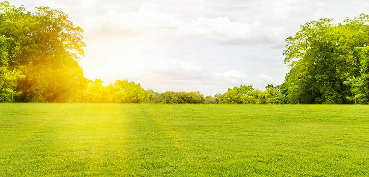 Panorama and tropical garden and green grass, the sun shines..jpg