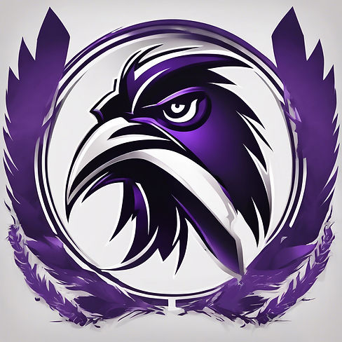 purple and white image for an american football team named ravens.jpg