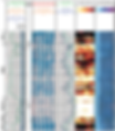 CBL-cement-bond-logs.png