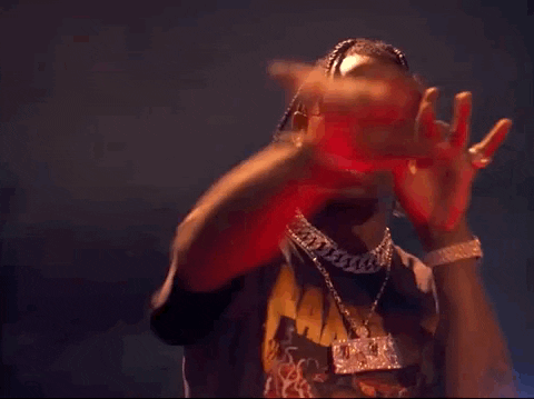 Travis Scott.gif