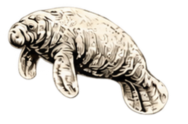 4b10bdf9-d99e-4980-9174-fdecbc3409ef.png