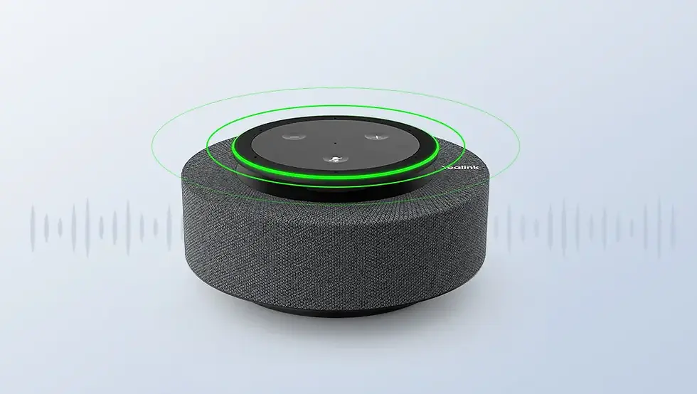 Miniatura: Speaker
