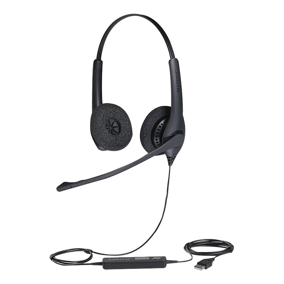 Jabra Biz 1500 Duo USB