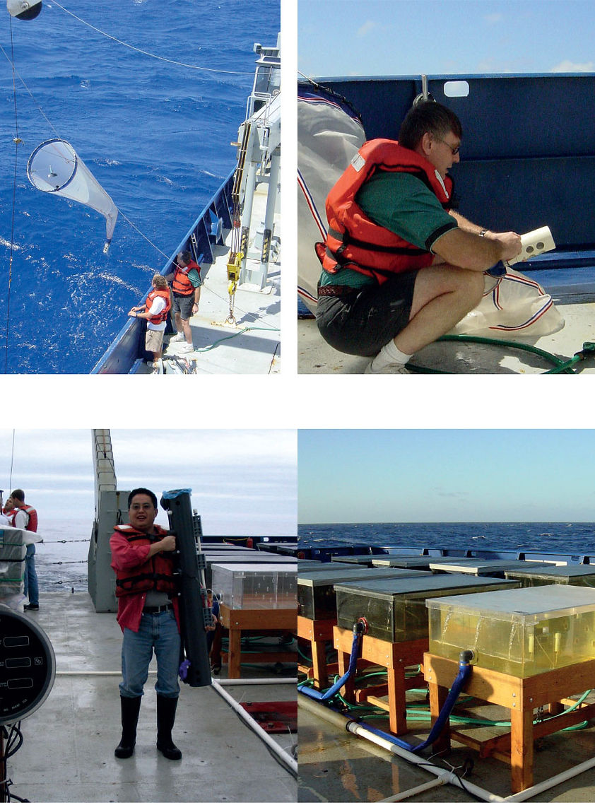 Montage BIOCOMPLEXITY-6.jpg