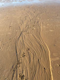 IMG_2316.jpeg