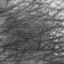 Photo on 03-01-2023 at 10.04 #3.jpg