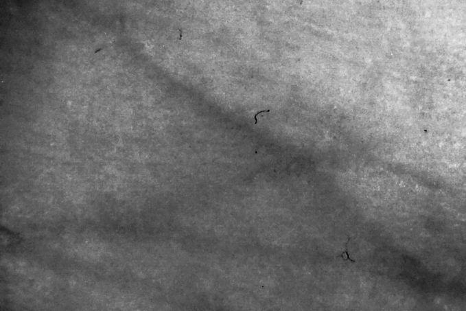 Photo on 03-01-2023 at 09.58.jpg