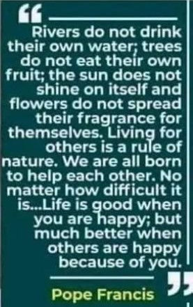 Pope Francis quote.jpg