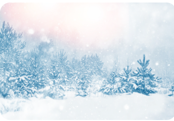 Winter 2025 Newsletter