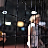 Volleyball Net