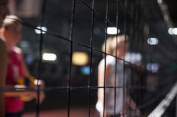 volleyball net