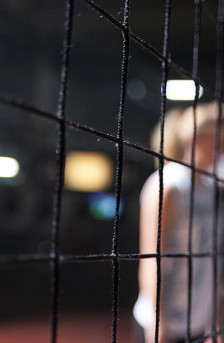 Volleyball Net