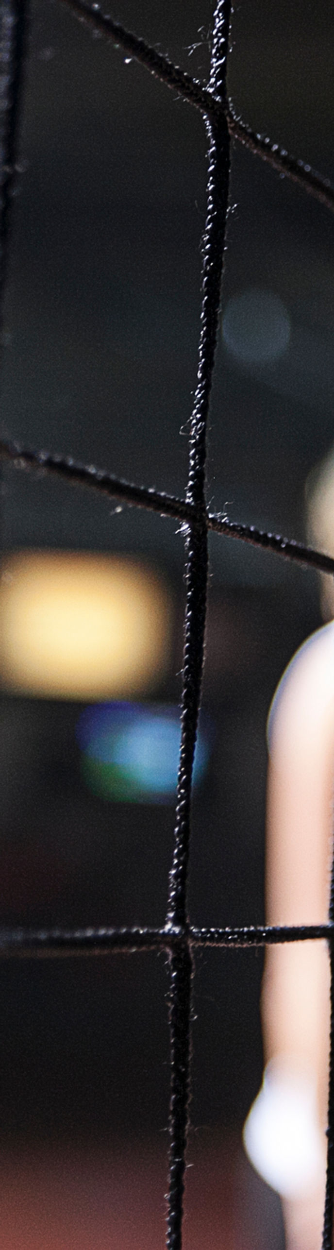 Volleyball Net