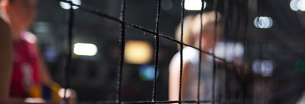 Volleyball Net