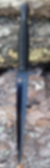 14225461_1167702609963200_1243999273864947176_n