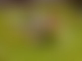 第４回ギルド会議