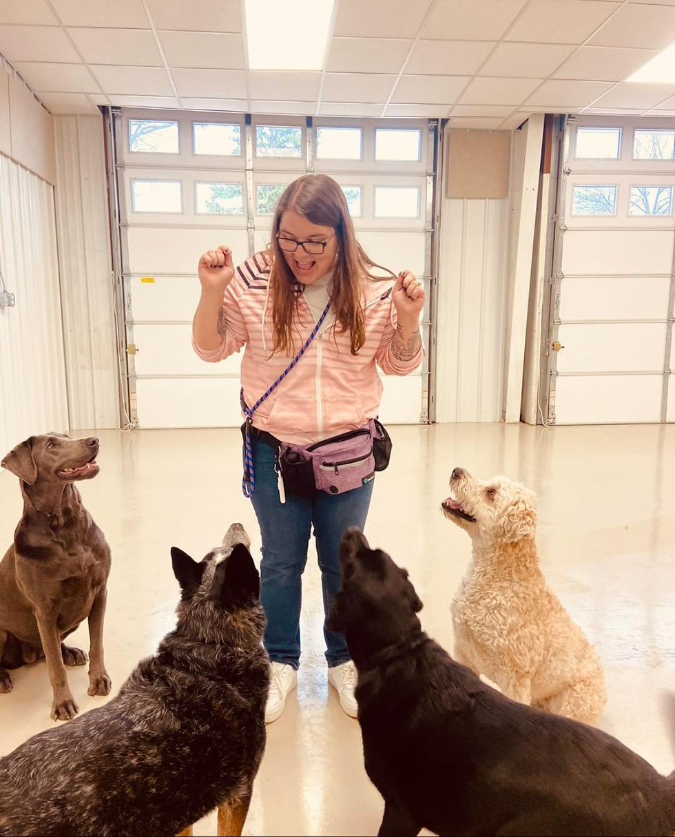 Abi - Daycare/Boarding Mngr.