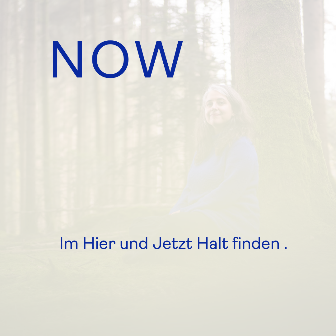 10 Audios mit Regulationsübungen für deinen Alltag
