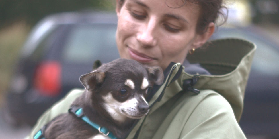 kleiner Hund ist auf dem Arm einer Hundetrainerin