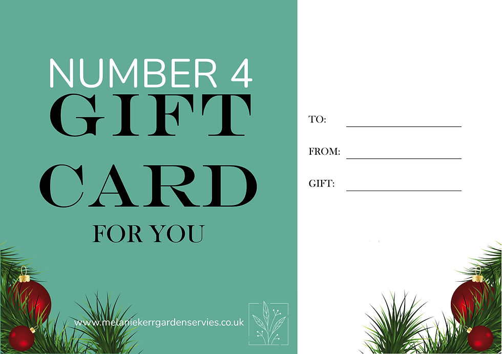 Thumbnail: 2 Hour Garden Masterclass Voucher 4 Bristol 