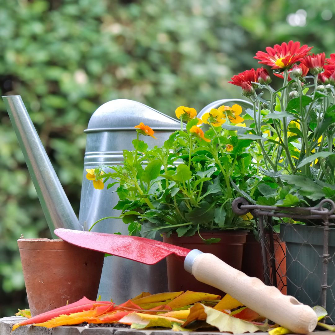 2 Hour Garden Design Consult Voucher Bristol