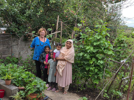 How Does Your Garden Grow?