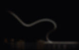 AdobeStock_95318946.jpeg