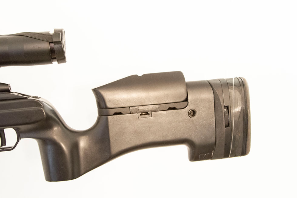 Thumbnail: SAKO TRG-22 .308