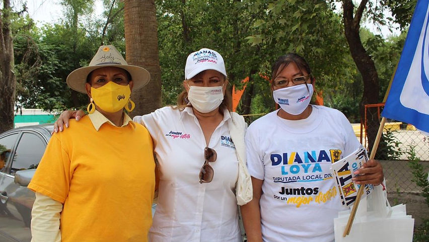 Gestión en favor de las causas de Valle de Zaragoza; Diana Loya