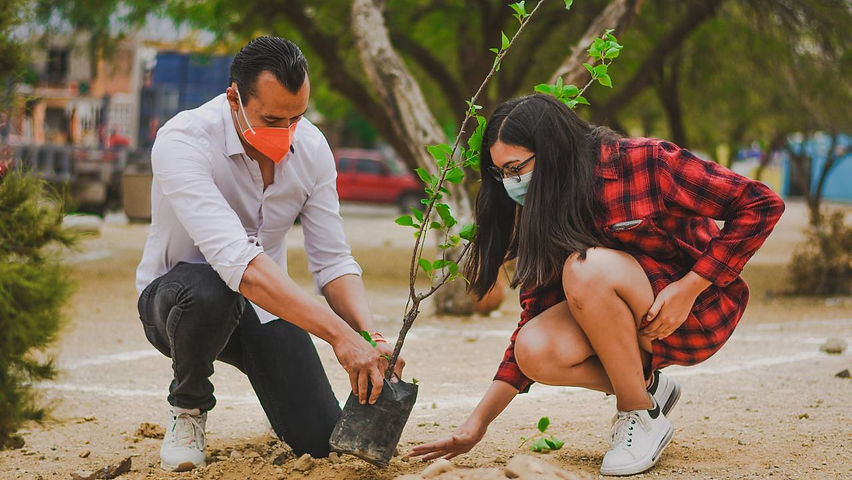 Por cada voto que reciba plantaré un árbol en la ciudad: César Peña