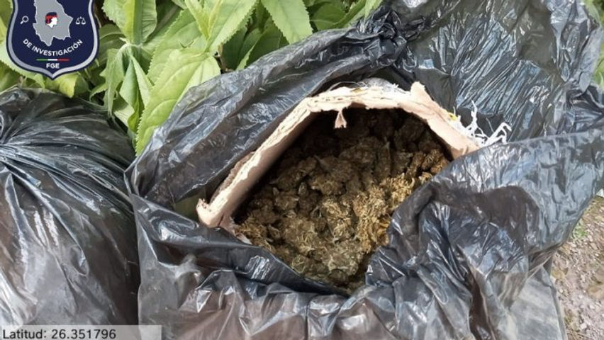 Aseguran 26 kilógramos de marihuana en Guadalupe y Calvo