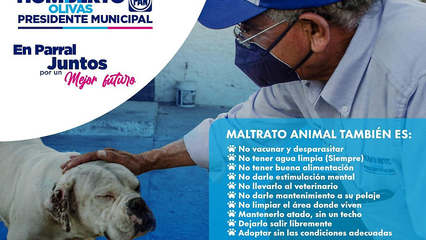 Si a la esterilización y no a los albergues y perreras: Humberto Olivas