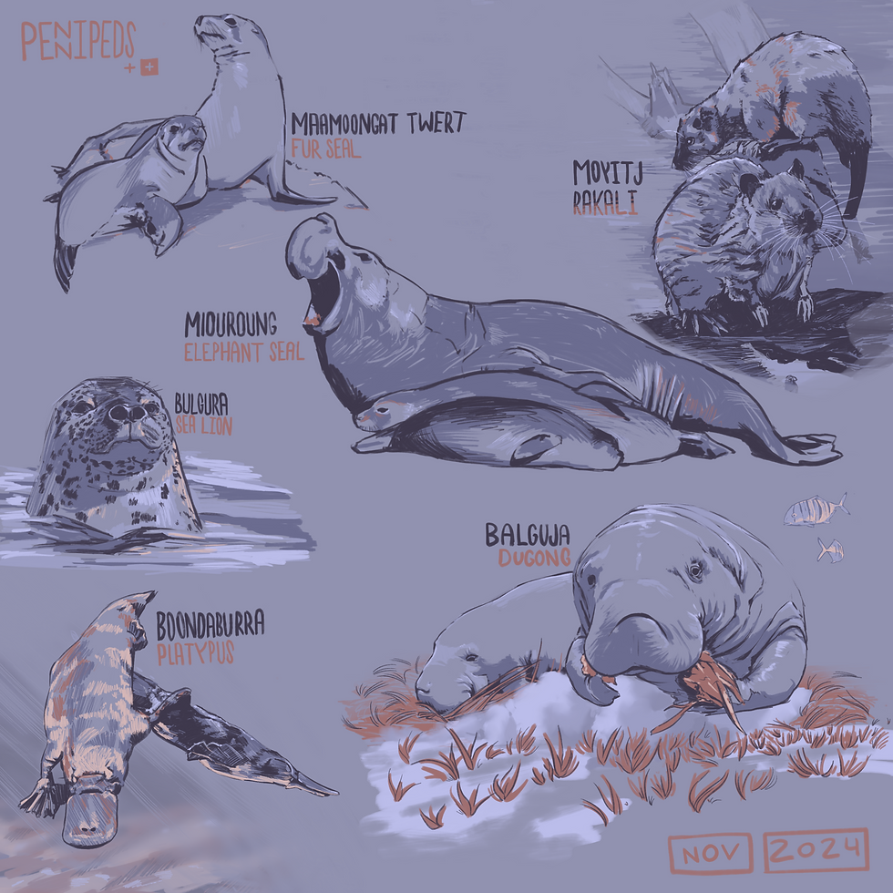 pennipeds Copy.png