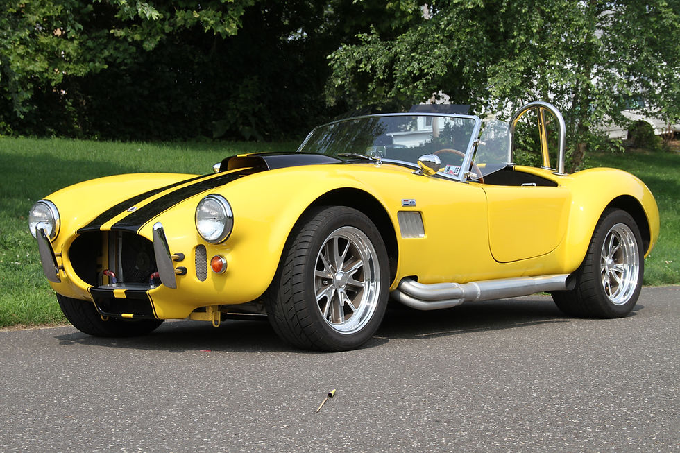 Len's 66 Cobra