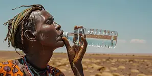 CORE-TRIBALS-IF.webp