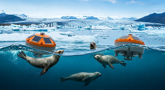 CORE-ARCTIC-VI_edited.jpg