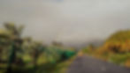ree