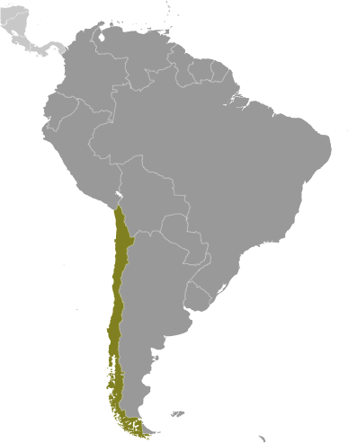 Chile