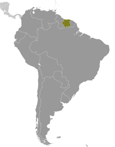 Suriname