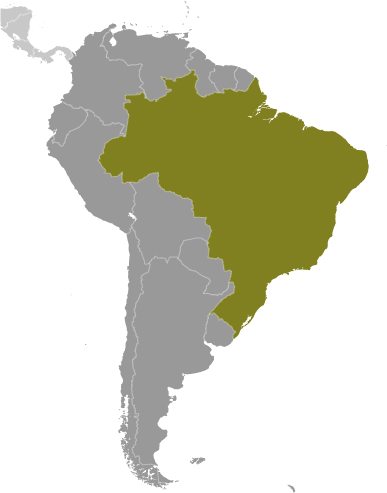 Brazil