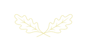 Logo Kleur goed - transparent background.png