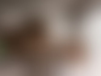 LOVE IS IN THE DETAIL: THE NEW LEICHT PLANNING PRINCIPAL KYOTO