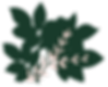 Green leaves.png