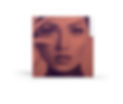 Impressos---Apostila-Facial-03.jpg