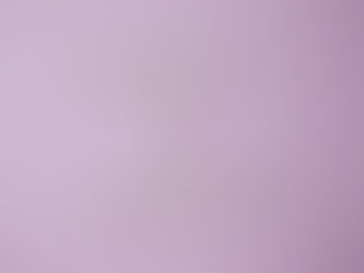 31 de marzo, Día Internacional de la Visibilidad de las Personas Transgénero