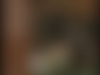 Théorie de la classe de loisir", de Thorstein Veblen