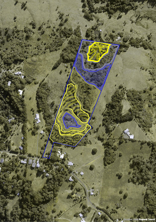 arial map flora and fauna SANCTUARY.jpf