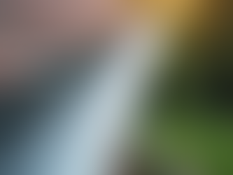 A Guide to Ordering Gutters Online