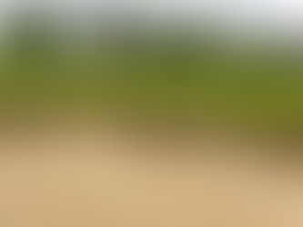 Steve Logan - Update - June 2, 2022