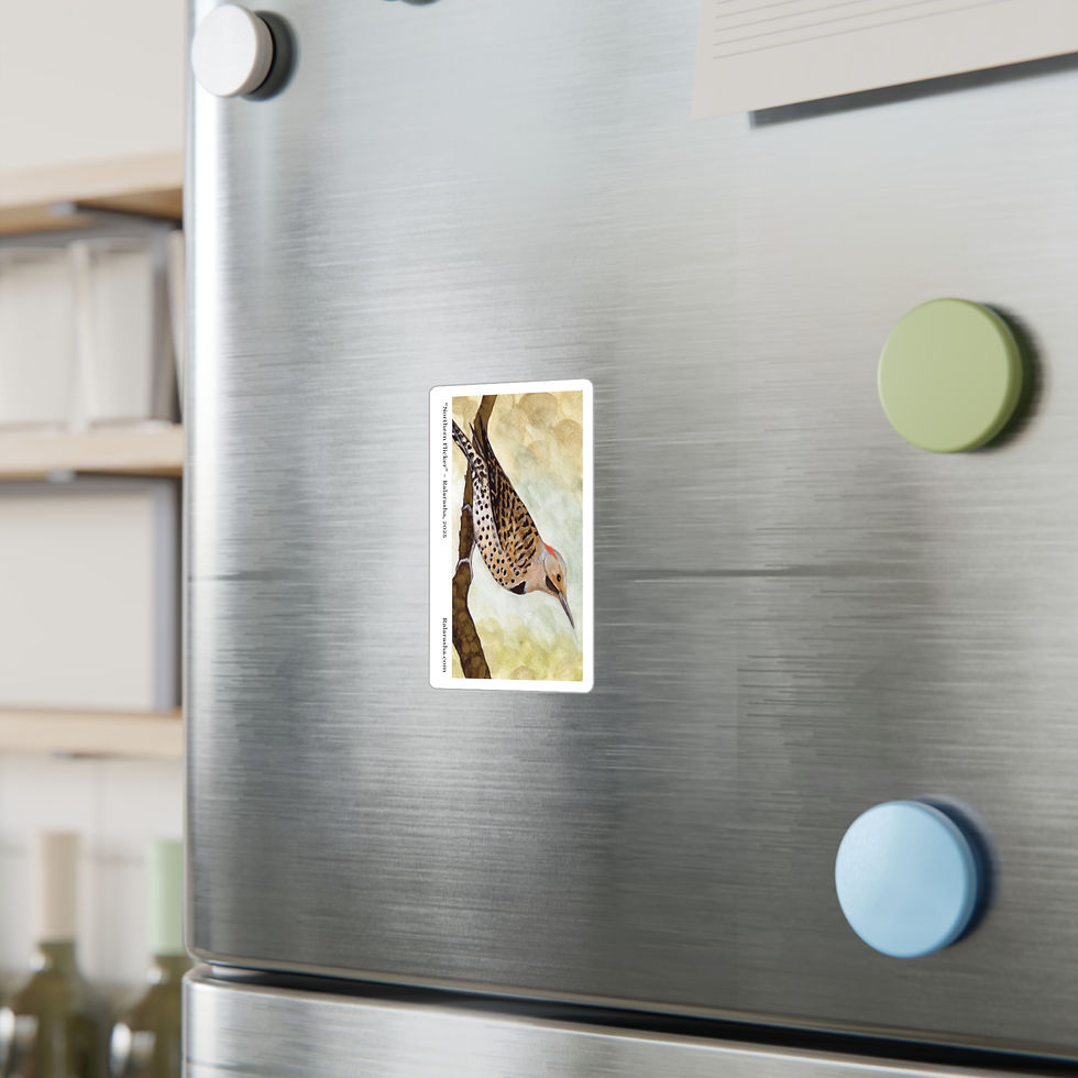 Thumbnail: Northern Flicker Bird Painting Vinyl Decal | Bird Sticker